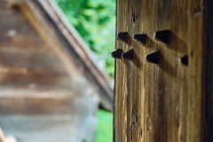 Fotó: @gabriel.nemeth.photography