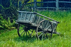 Fotó: @gabriel.nemeth.photography