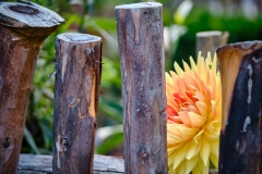 Fotó: @gabriel.nemeth.photography