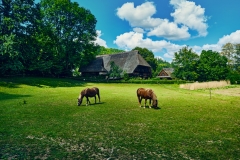 Fotó: @gabriel.nemeth.photography